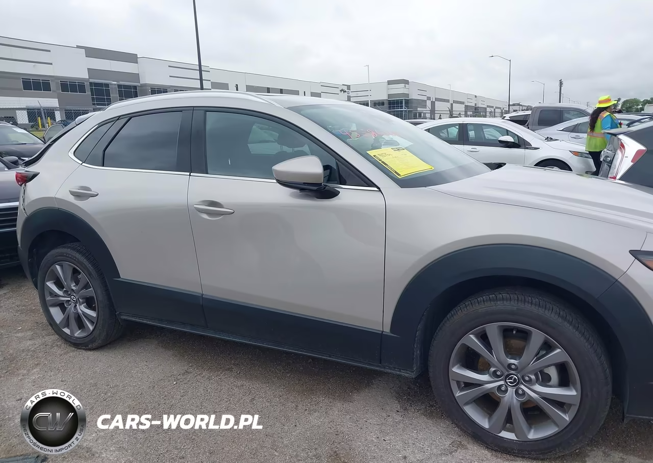 2024 Mazda Cx-30 2.5 S Premium Package VIN:3MVDMBDM7RM649088 - 13