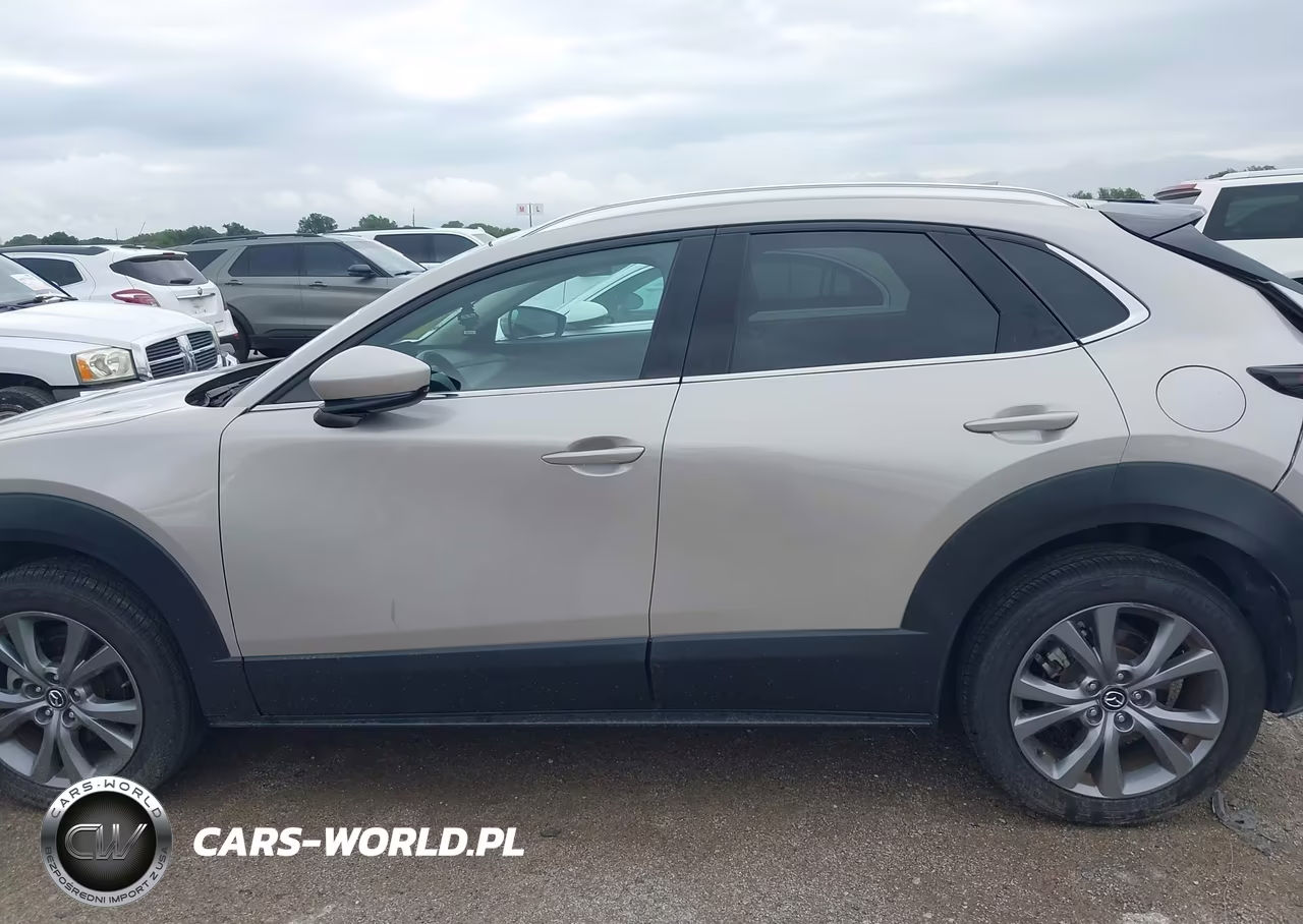 2024 Mazda Cx-30 2.5 S Premium Package VIN:3MVDMBDM7RM649088 - 14