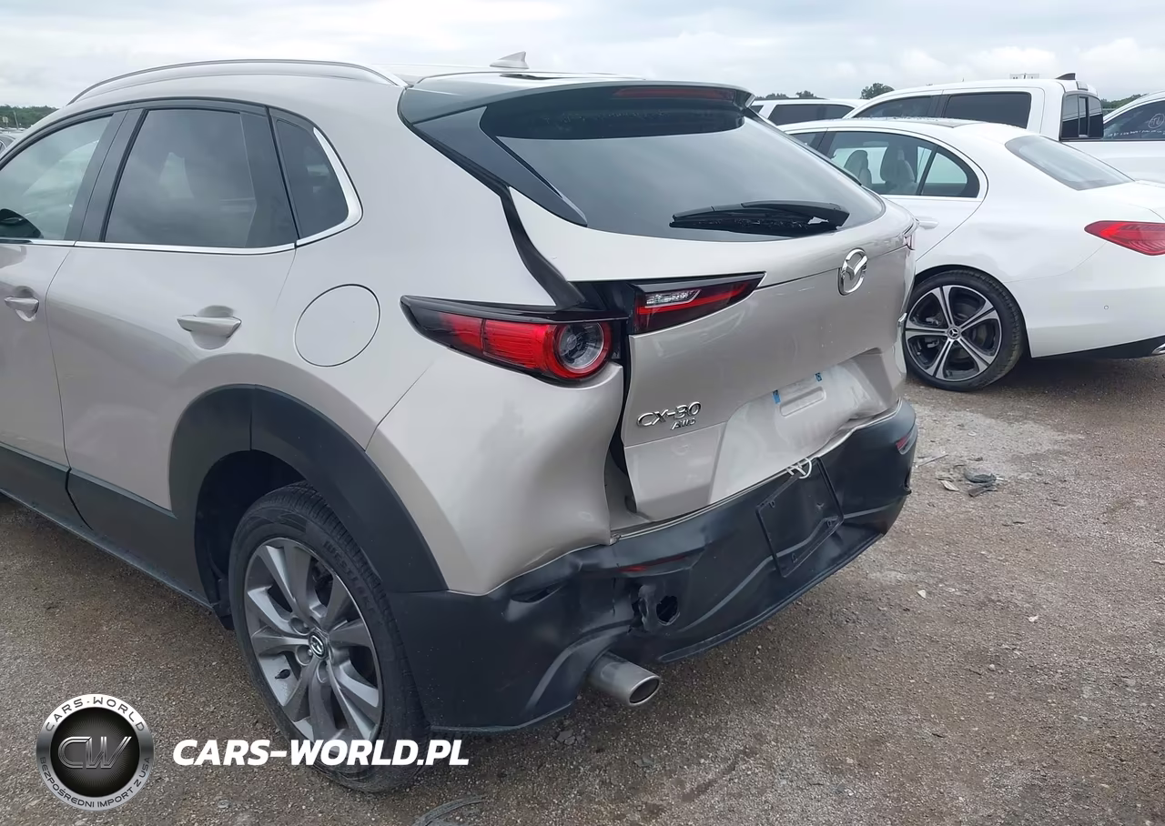 2024 Mazda Cx-30 2.5 S Premium Package VIN:3MVDMBDM7RM649088 - 6