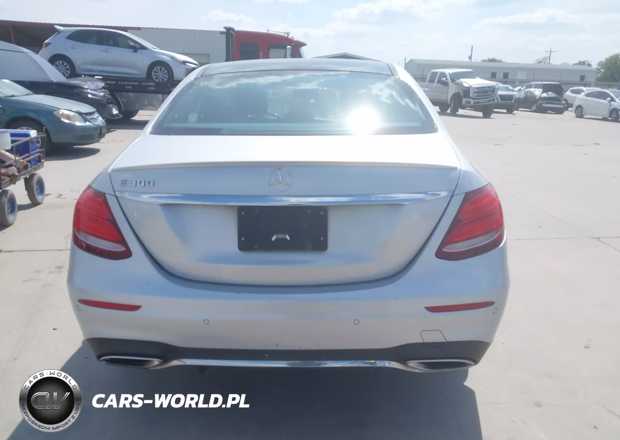 2019 Mercedes-Benz E 300 VIN:WDDZF4JBXKA496621 - 16