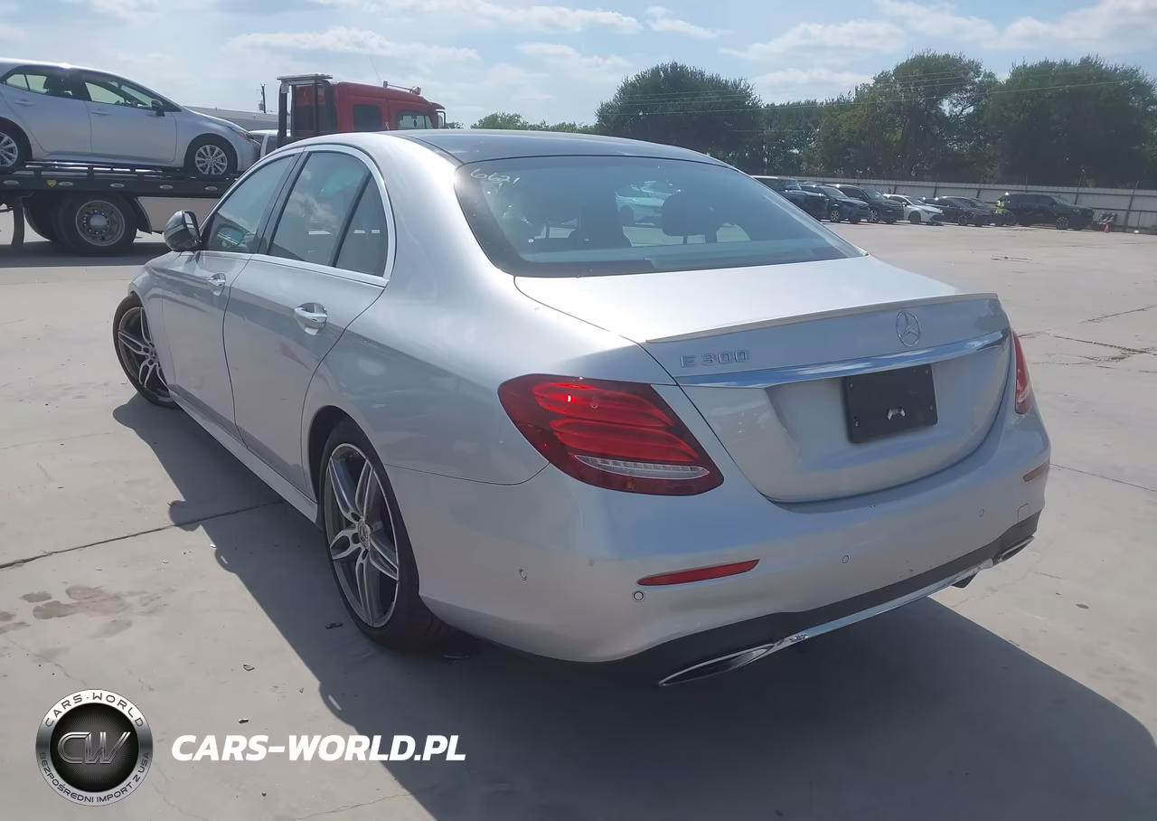 2019 Mercedes-Benz E 300 VIN:WDDZF4JBXKA496621 - 3