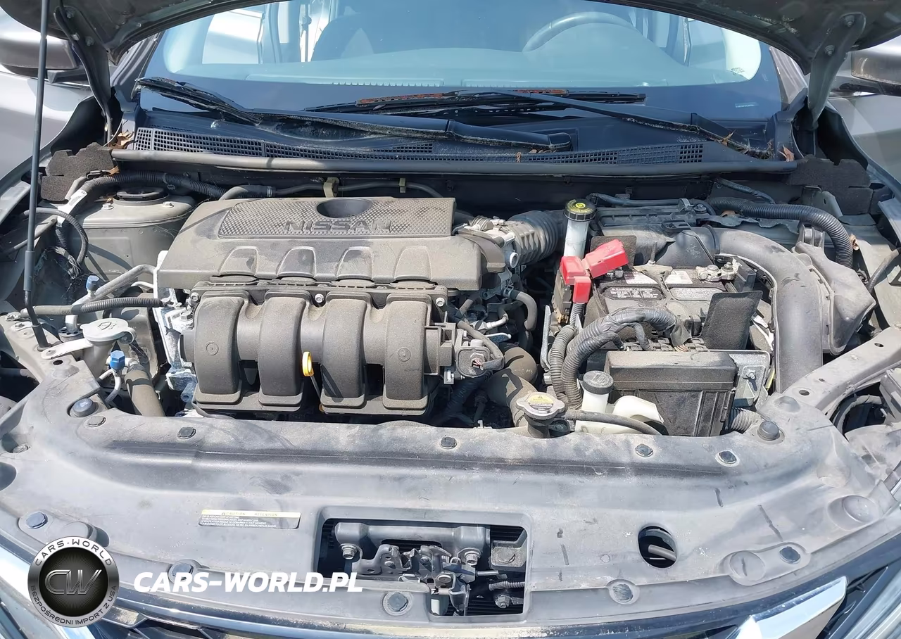 2016 Nissan Sentra Fe+ S-S-Sl-Sr-Sv VIN:3N1AB7AP3GL667793 - 10