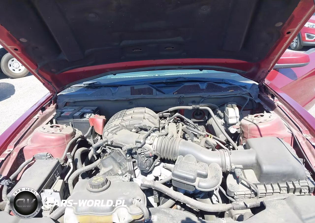 2014 Ford Mustang V6 Premium VIN:1ZVBP8AM3E5205162 - 10