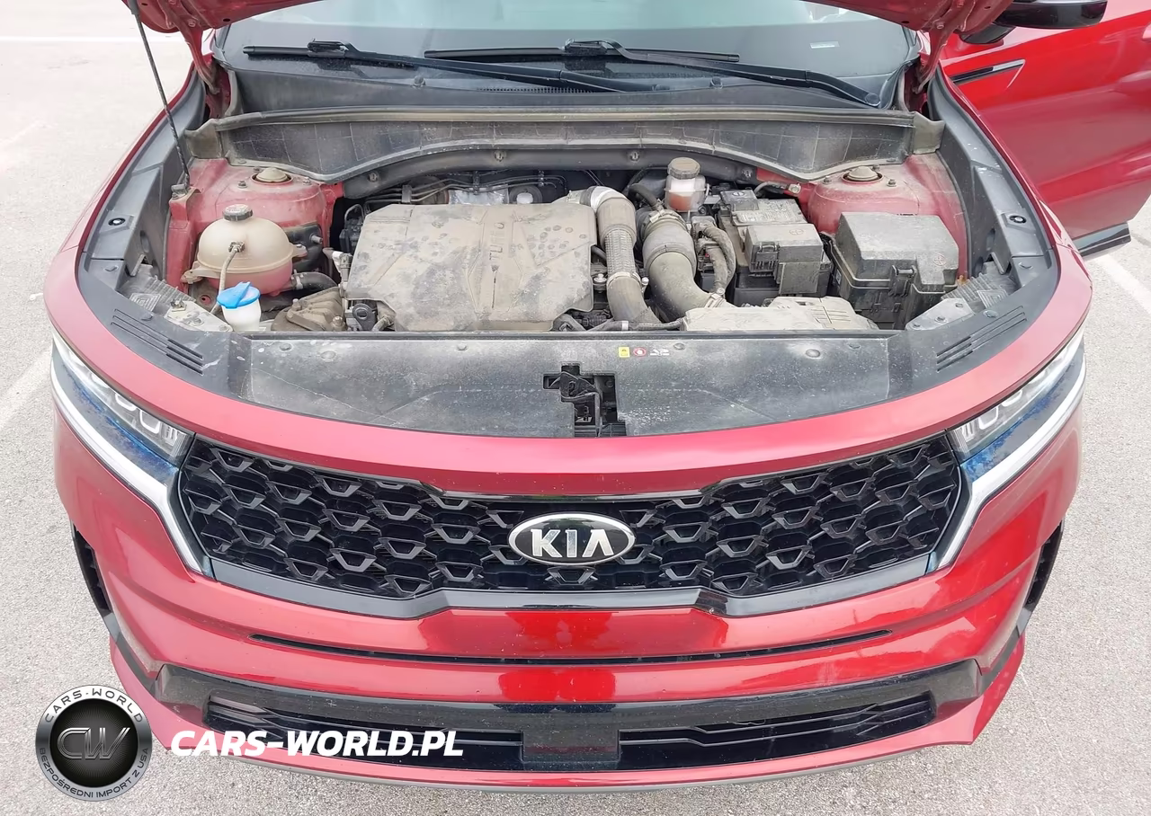 2021 Kia Sorento Ex VIN:5XYRHDLF7MG032791 - 10