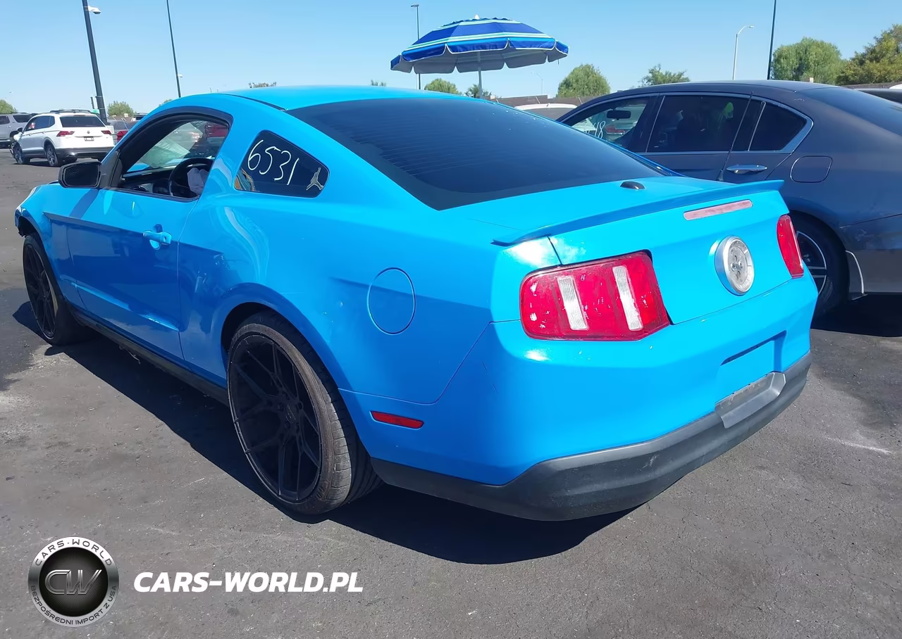 2010 Ford Mustang V6 Premium VIN:1ZVBP8AN4A5138977 - 3