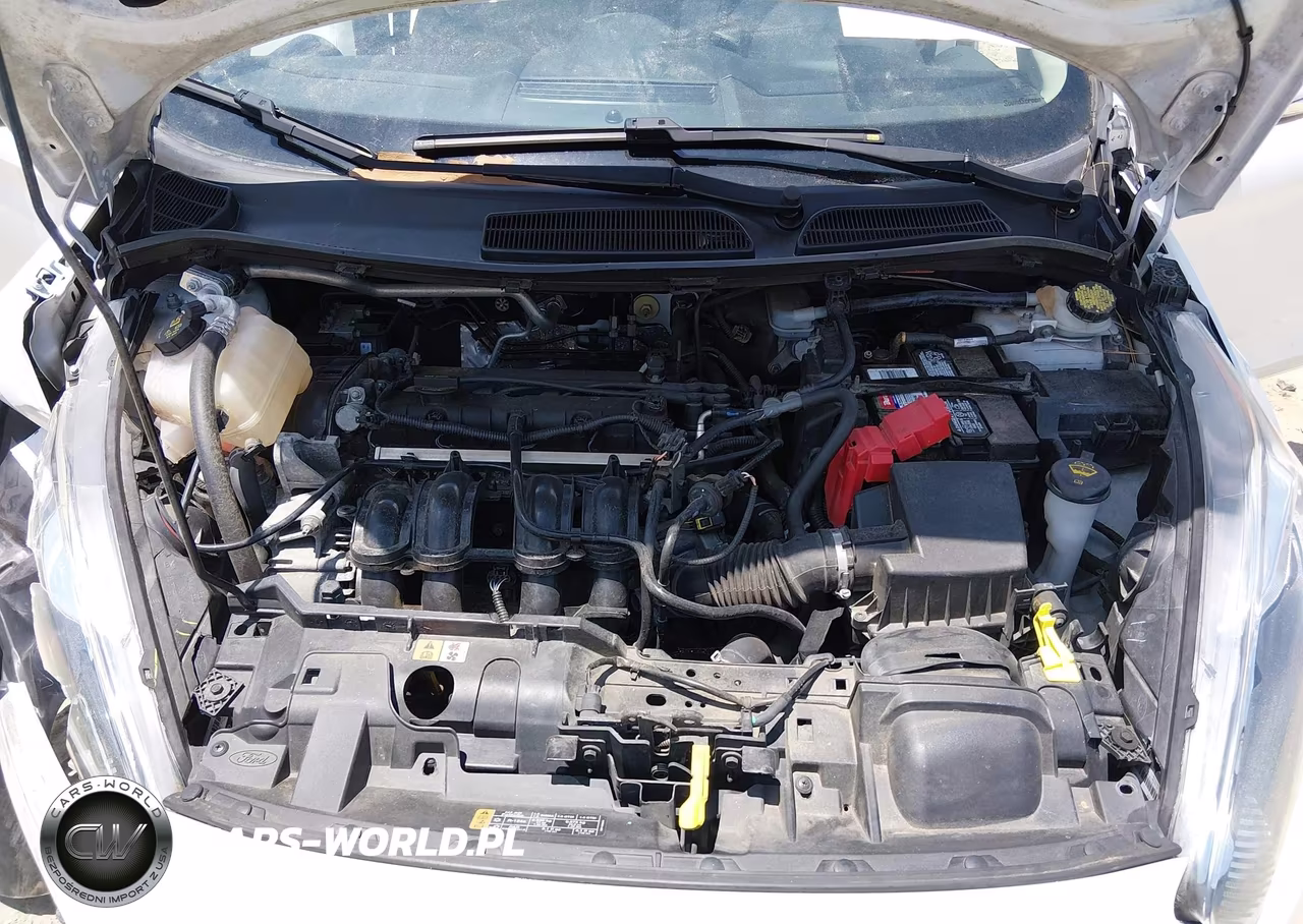 2016 Ford Fiesta Se VIN:3FADP4BJ3GM180064 - 10