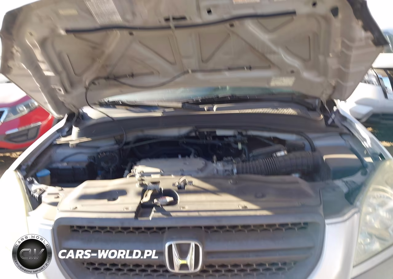 2005 Honda Pilot Ex VIN:5FNYF18475B023007 - 10