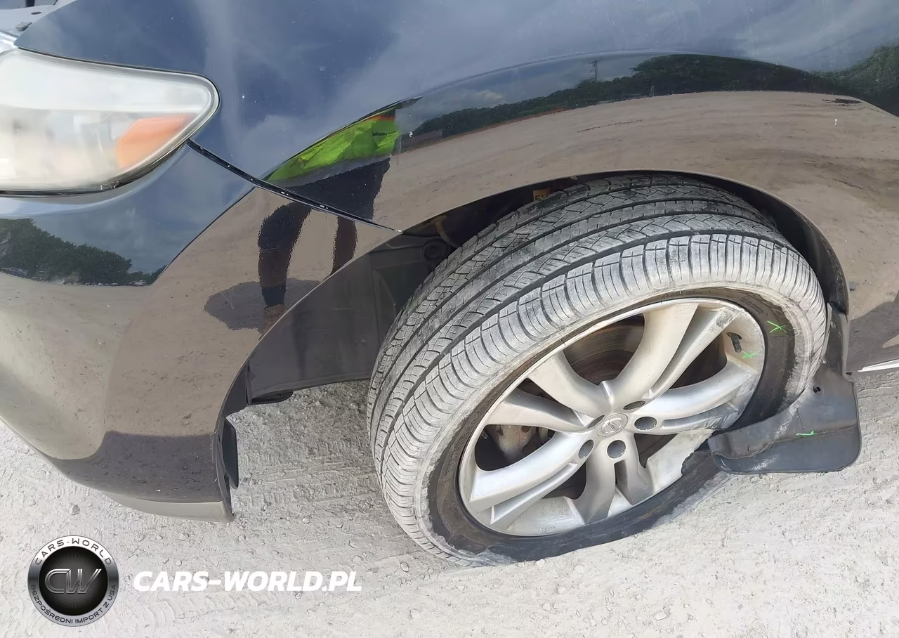 2011 Nissan Murano Le VIN:JN8AZ1MW9BW184194 - 10