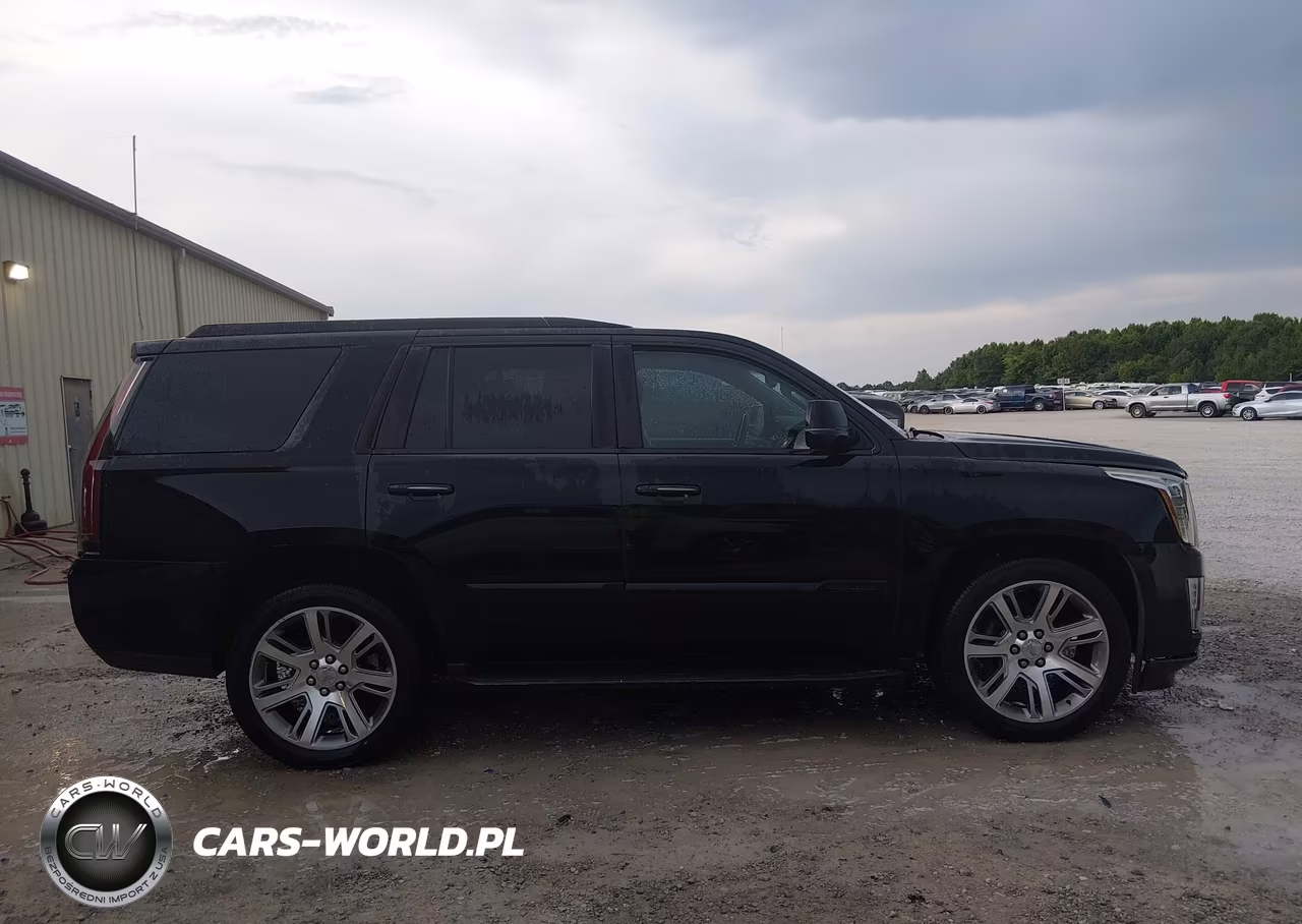 2015 Cadillac Escalade Premium VIN:1GYS3NKJXFR543373 - 13