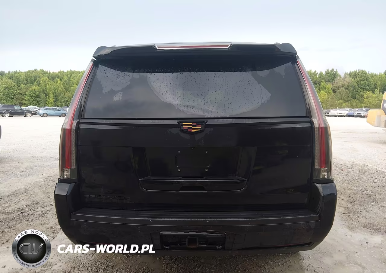 2015 Cadillac Escalade Premium VIN:1GYS3NKJXFR543373 - 16