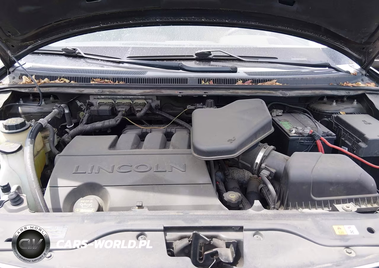 2009 Lincoln Mkx VIN:2LMDU68C69BJ09632 - 10