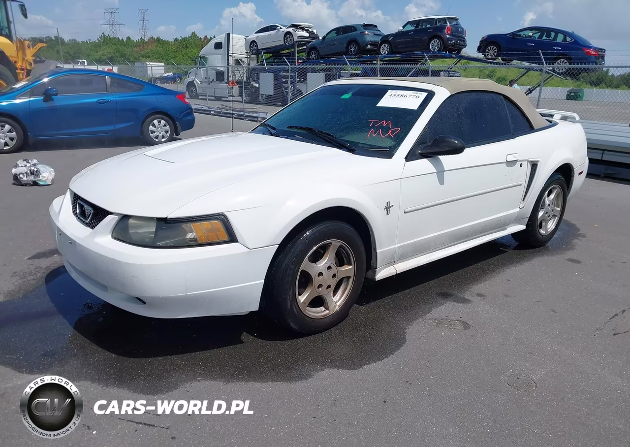 2003 Ford Mustang VIN:1FAFP44453F319489 - 2