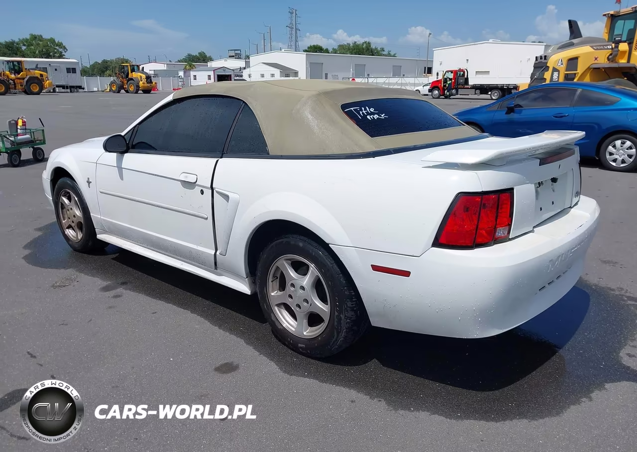 2003 Ford Mustang VIN:1FAFP44453F319489 - 3
