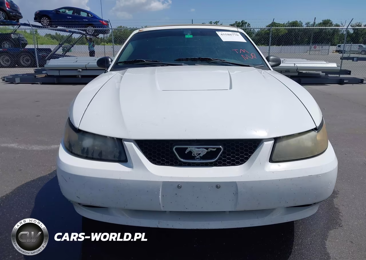 2003 Ford Mustang VIN:1FAFP44453F319489 - 6