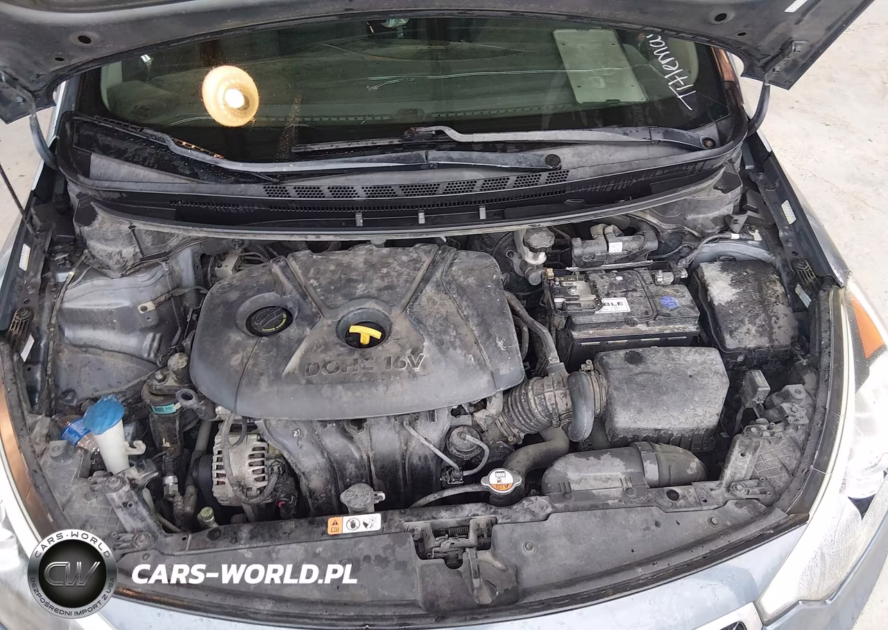 2016 Kia Forte Lx VIN:KNAFK4A69G5548801 - 10