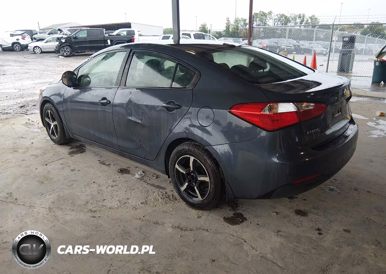 2016 Kia Forte Lx VIN:KNAFK4A69G5548801 - 3