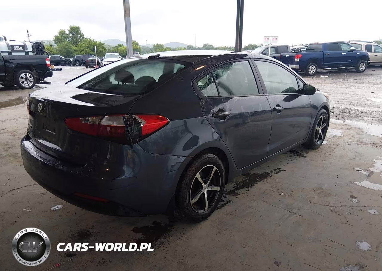 2016 Kia Forte Lx VIN:KNAFK4A69G5548801 - 4
