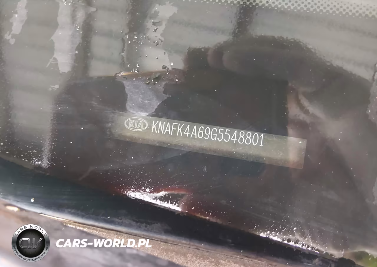 2016 Kia Forte Lx VIN:KNAFK4A69G5548801 - 9
