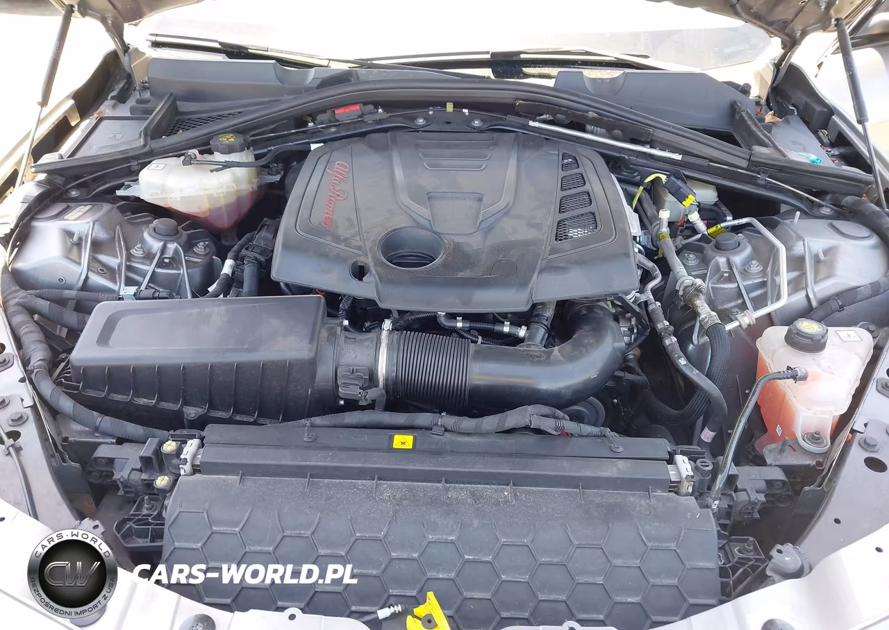 2020 Alfa Romeo Giulia Rwd VIN:ZARFAMAN2L7624327 - 10