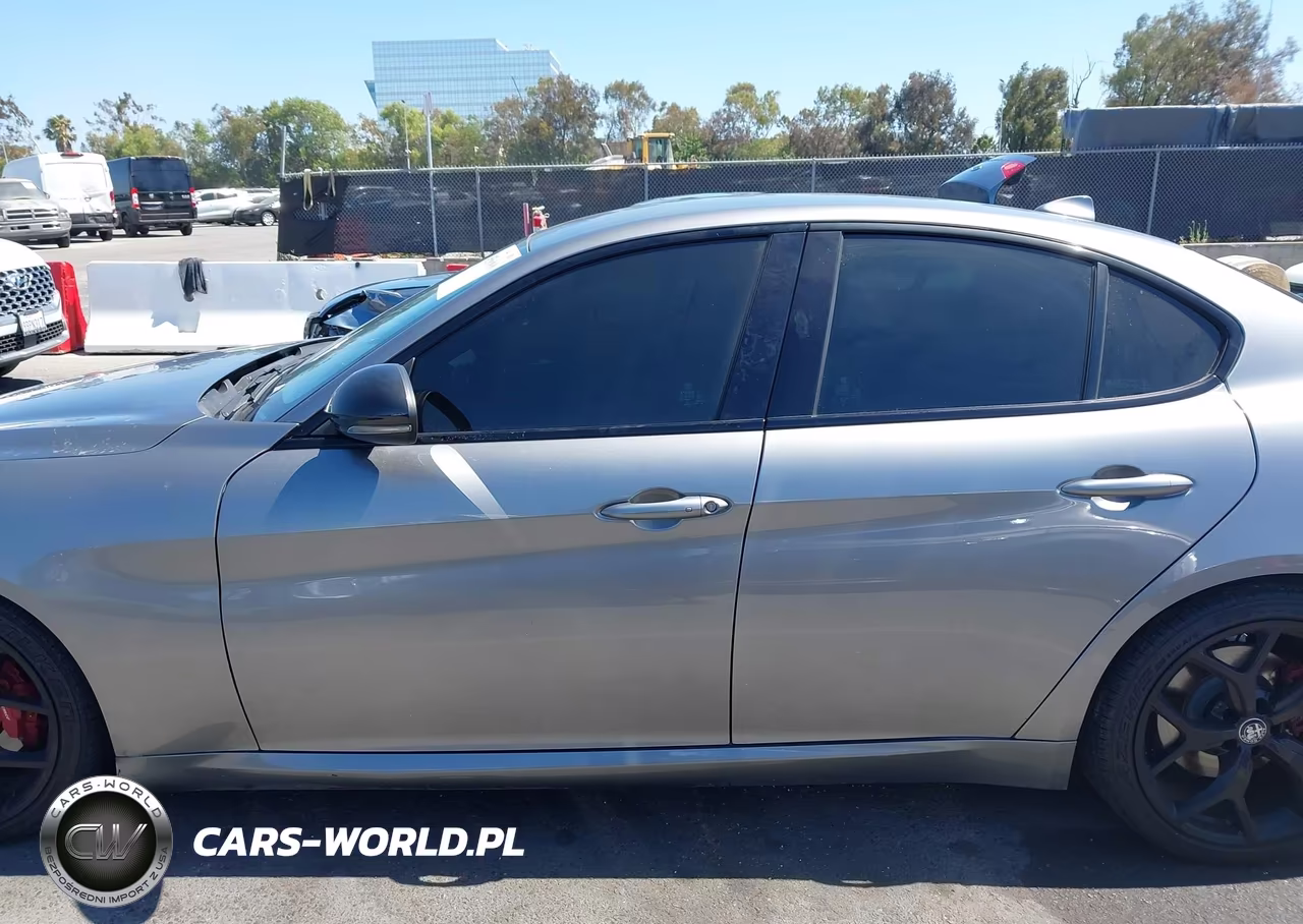 2020 Alfa Romeo Giulia Rwd VIN:ZARFAMAN2L7624327 - 14