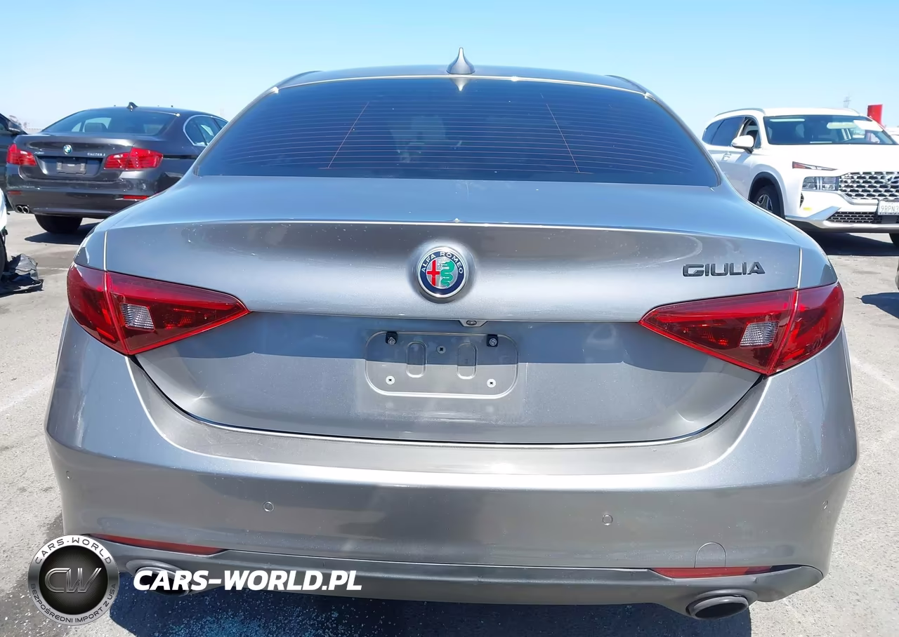 2020 Alfa Romeo Giulia Rwd VIN:ZARFAMAN2L7624327 - 16