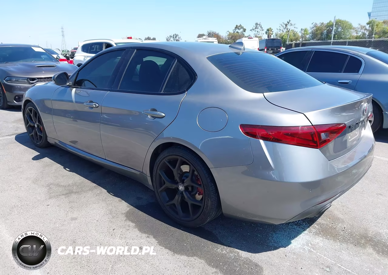 2020 Alfa Romeo Giulia Rwd VIN:ZARFAMAN2L7624327 - 3