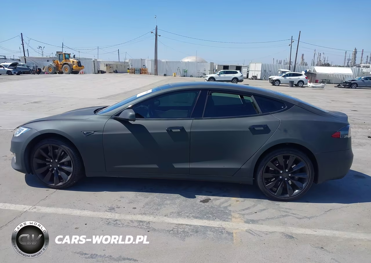 2016 Tesla Model S 60D-70D-75D-85D-90D VIN:5YJSA1E27GF162371 - 14