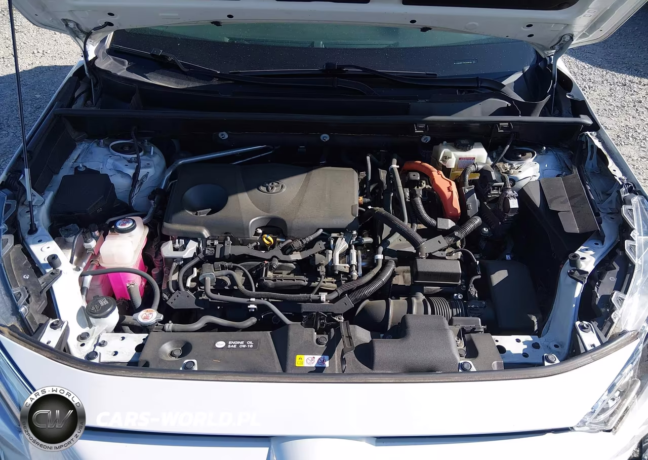 2019 Toyota Rav4 Hybrid Xse VIN:JTMEWRFV5KD508097 - 10