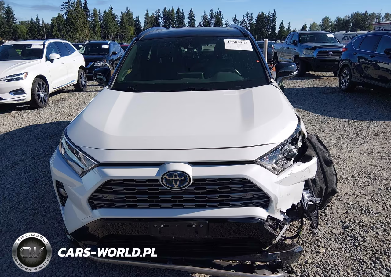 2019 Toyota Rav4 Hybrid Xse VIN:JTMEWRFV5KD508097 - 12