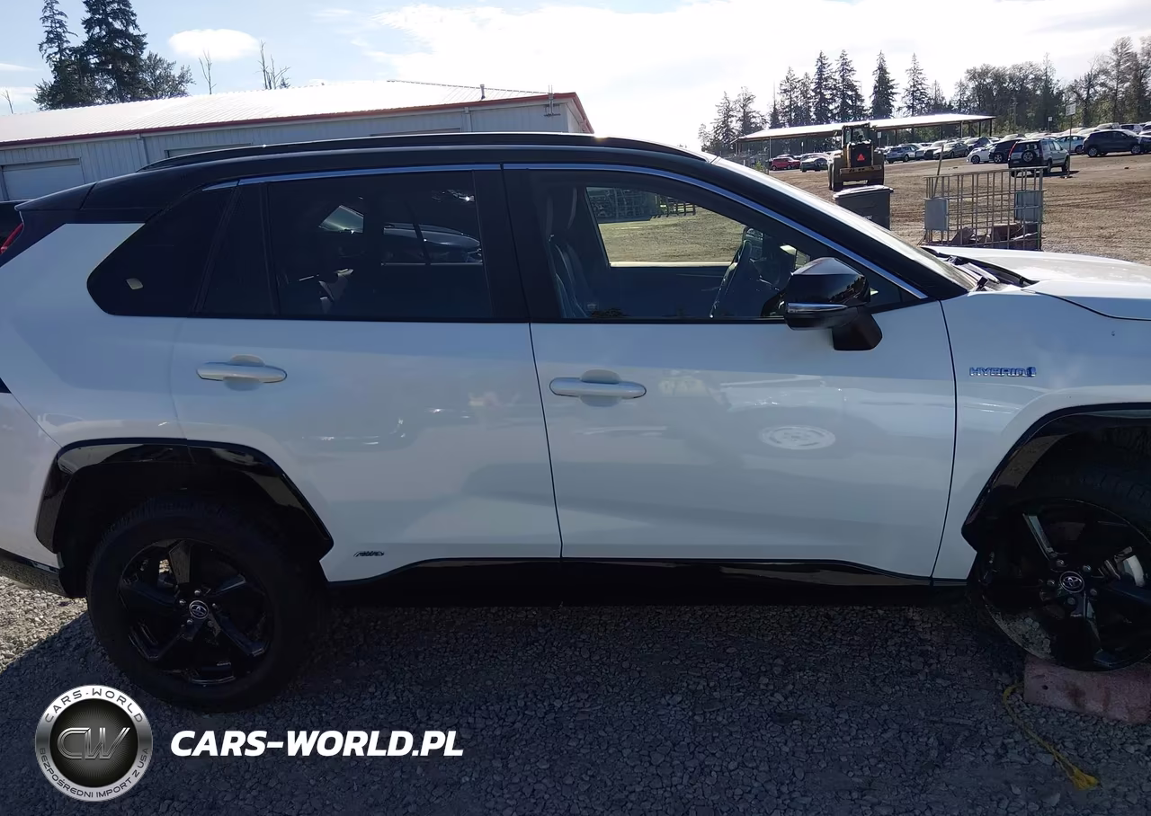 2019 Toyota Rav4 Hybrid Xse VIN:JTMEWRFV5KD508097 - 13