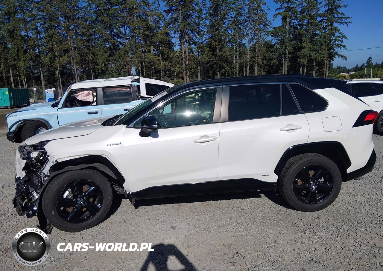 2019 Toyota Rav4 Hybrid Xse VIN:JTMEWRFV5KD508097 - 14