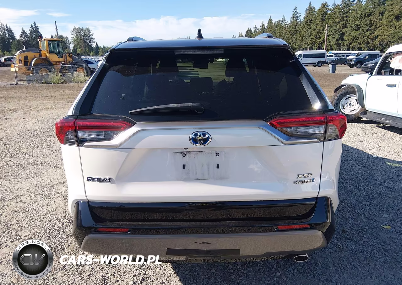 2019 Toyota Rav4 Hybrid Xse VIN:JTMEWRFV5KD508097 - 16