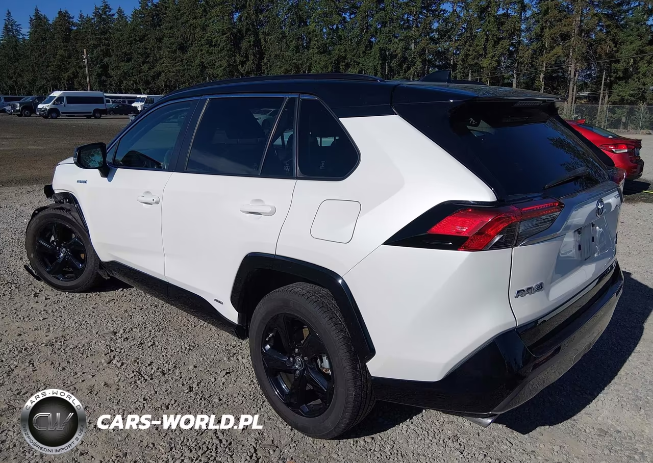2019 Toyota Rav4 Hybrid Xse VIN:JTMEWRFV5KD508097 - 3