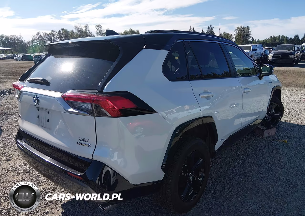 2019 Toyota Rav4 Hybrid Xse VIN:JTMEWRFV5KD508097 - 4