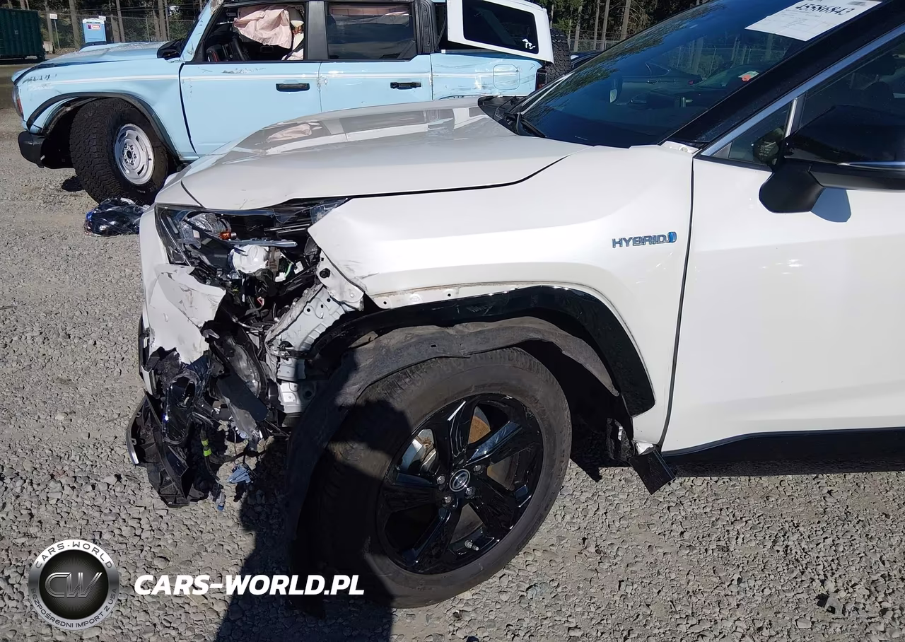 2019 Toyota Rav4 Hybrid Xse VIN:JTMEWRFV5KD508097 - 6