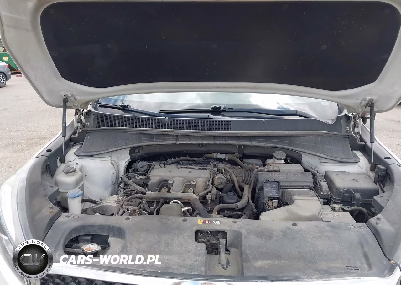 2017 Kia Sorento 3.3L Lx VIN:5XYPGDA50HG205884 - 10