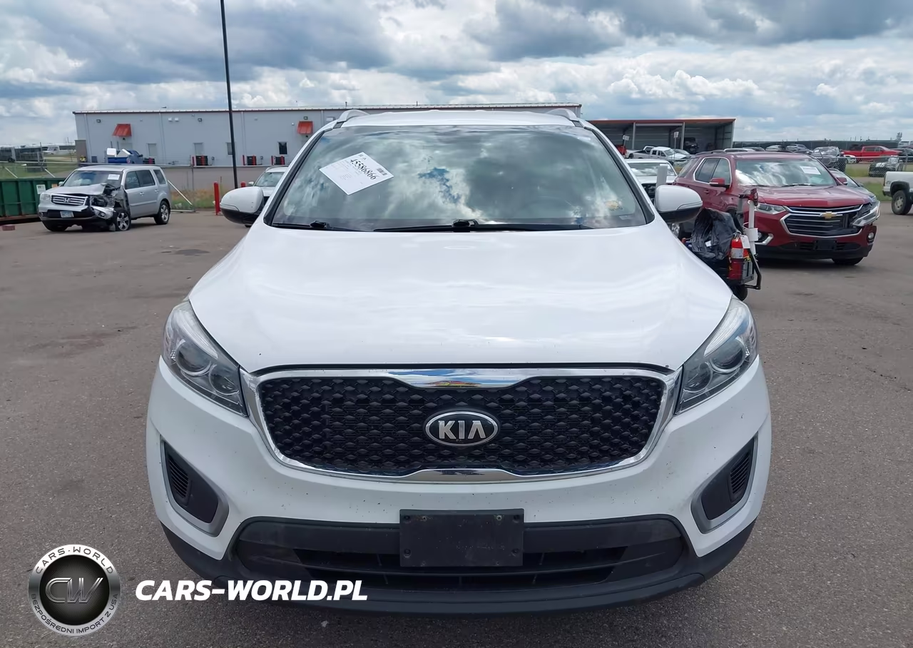 2017 Kia Sorento 3.3L Lx VIN:5XYPGDA50HG205884 - 12