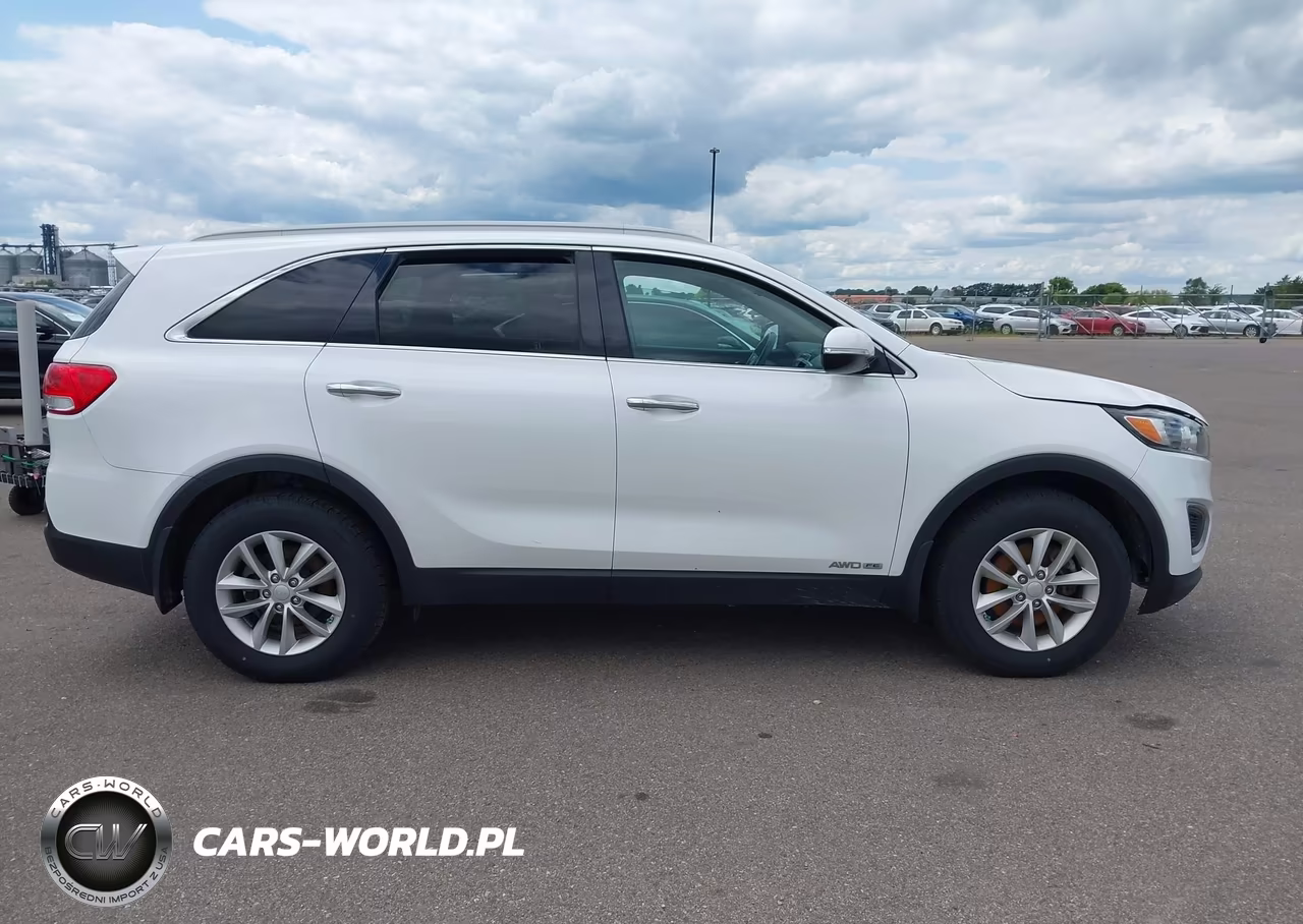 2017 Kia Sorento 3.3L Lx VIN:5XYPGDA50HG205884 - 13