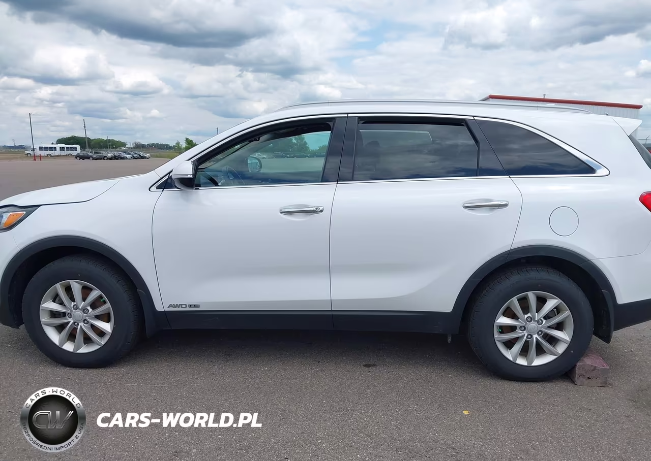 2017 Kia Sorento 3.3L Lx VIN:5XYPGDA50HG205884 - 14