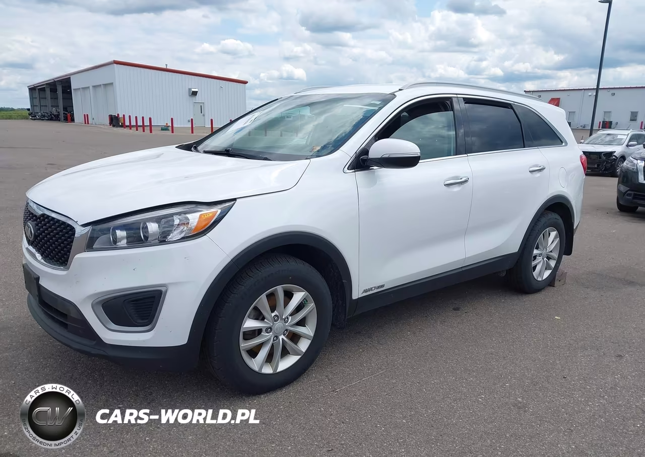 2017 Kia Sorento 3.3L Lx VIN:5XYPGDA50HG205884 - 2