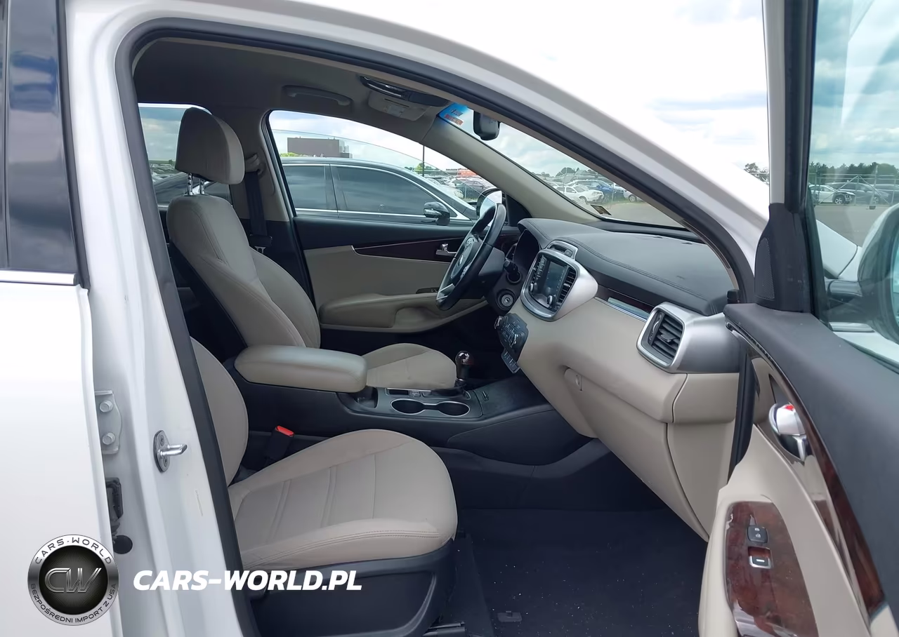2017 Kia Sorento 3.3L Lx VIN:5XYPGDA50HG205884 - 5