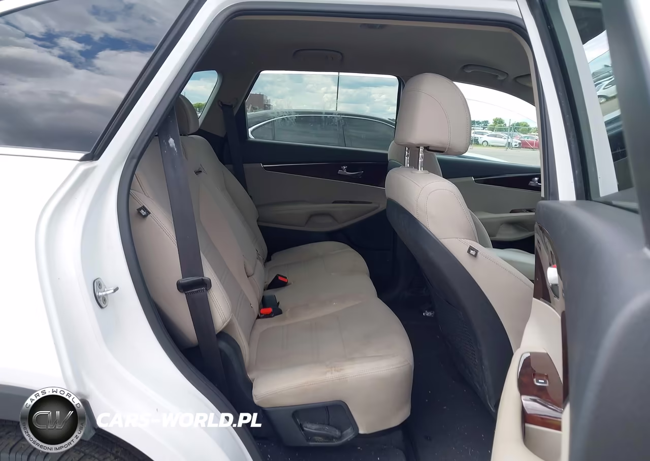 2017 Kia Sorento 3.3L Lx VIN:5XYPGDA50HG205884 - 8