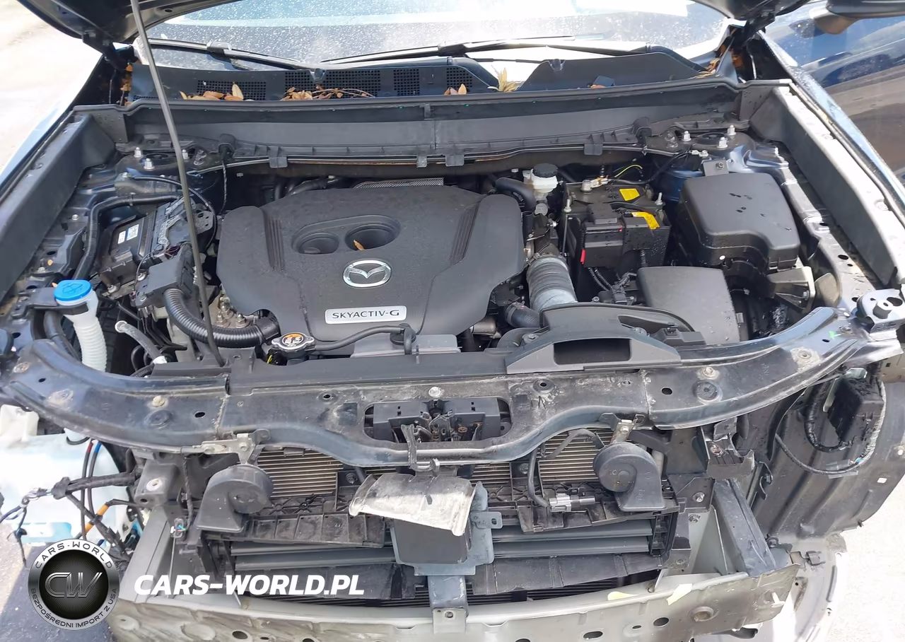 2021 Mazda Cx-9 Touring VIN:JM3TCBCY7M0514491 - 10