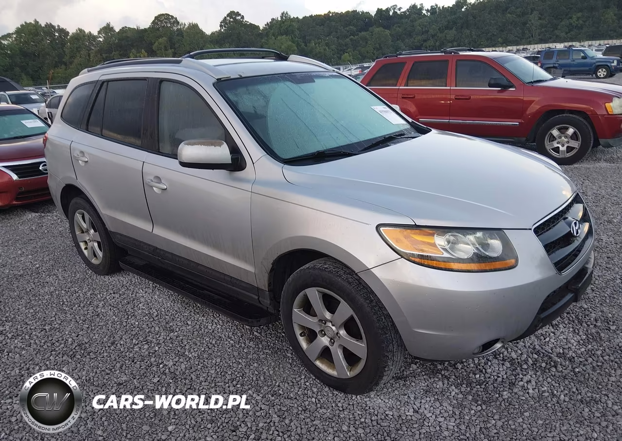 2009 Hyundai Santa Fe Se – zdjęcie 1 z 11
