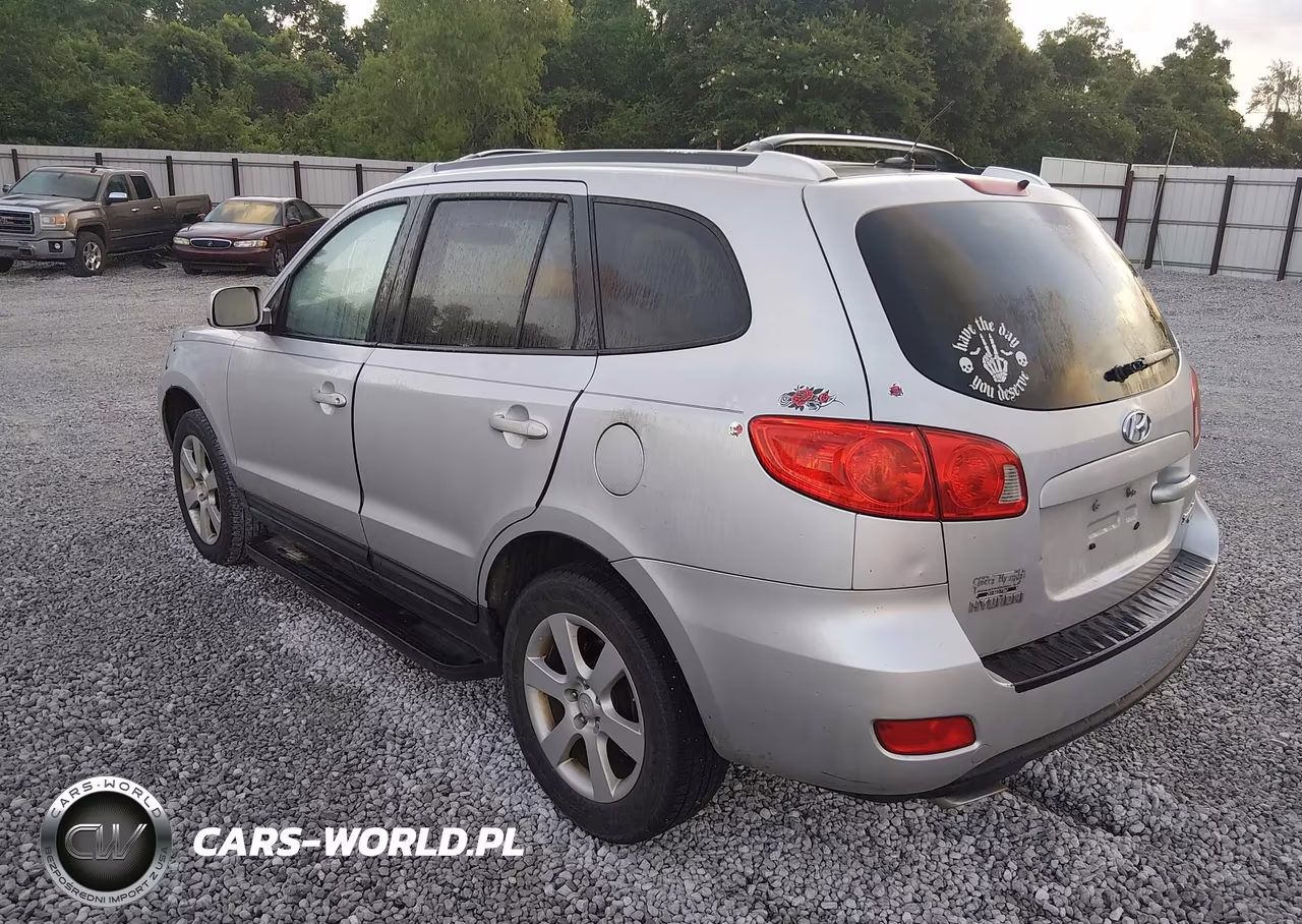 2009 Hyundai Santa Fe Se VIN:5NMSH73E79H276285 - 6