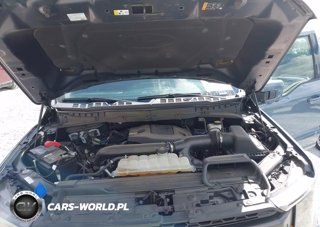 2023 Ford F-150 Tremor VIN:1FTEW1E84PFD30580 - 10