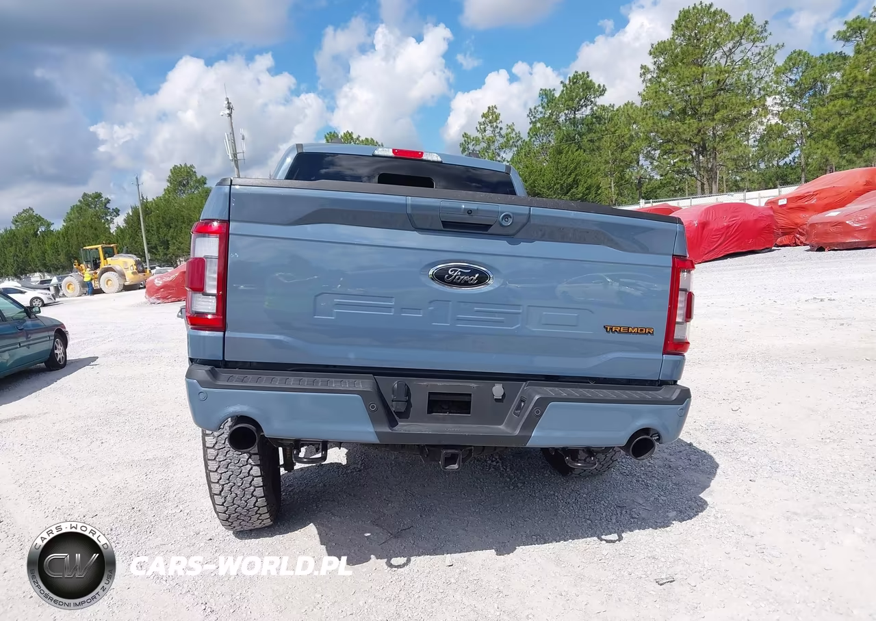 2023 Ford F-150 Tremor VIN:1FTEW1E84PFD30580 - 17