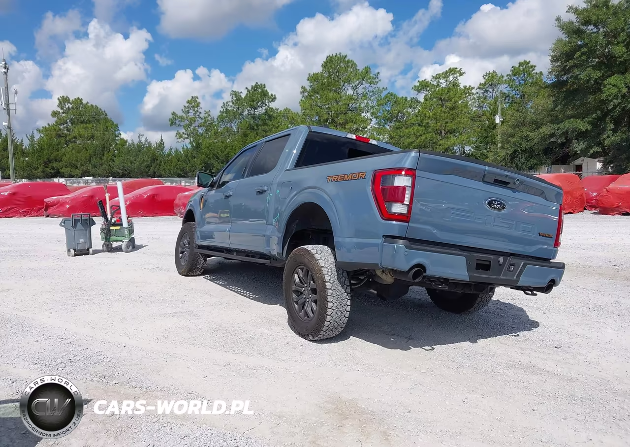 2023 Ford F-150 Tremor VIN:1FTEW1E84PFD30580 - 3