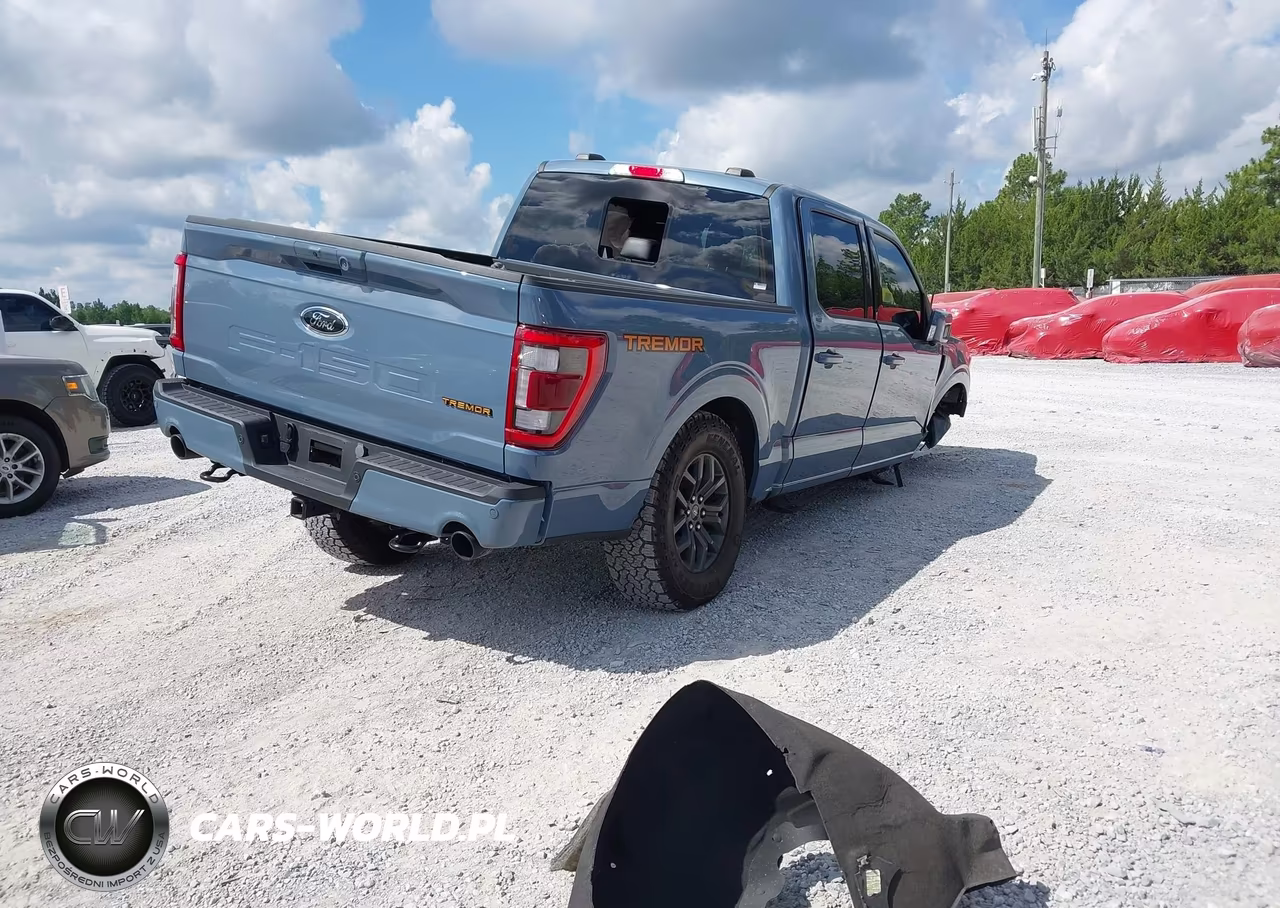 2023 Ford F-150 Tremor VIN:1FTEW1E84PFD30580 - 4
