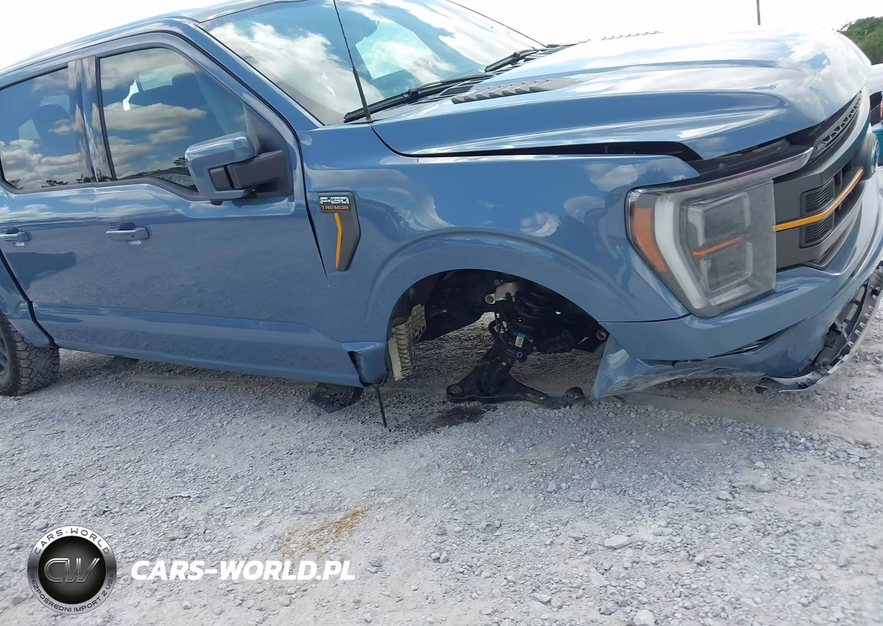2023 Ford F-150 Tremor VIN:1FTEW1E84PFD30580 - 6